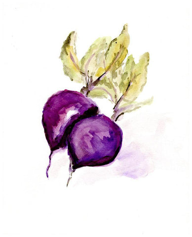 Veggie Sketch plain  III-Beets White Modern Wood Framed Art Print with Double Matting by Chapman, Marcy