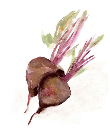 Veggie Sketch plain  IV-Brown Beets White Modern Wood Framed Art Print with Double Matting by Chapman, Marcy