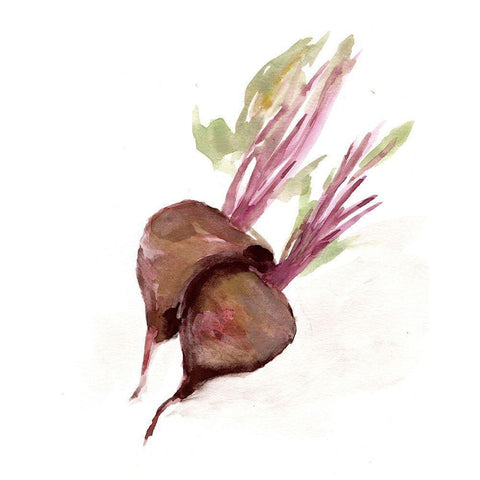 Veggie Sketch plain  IV-Brown Beets Black Modern Wood Framed Art Print with Double Matting by Chapman, Marcy