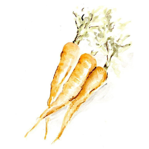 Veggie Sketch plain  V-Carrots White Modern Wood Framed Art Print by Chapman, Marcy