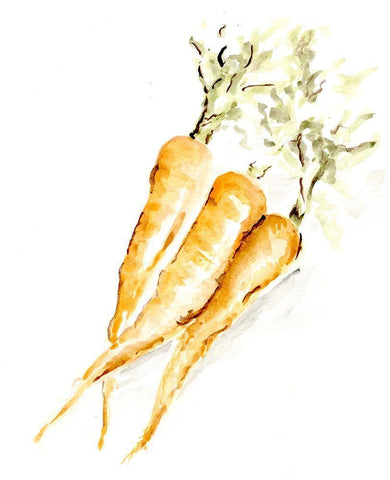 Veggie Sketch plain  V-Carrots White Modern Wood Framed Art Print with Double Matting by Chapman, Marcy