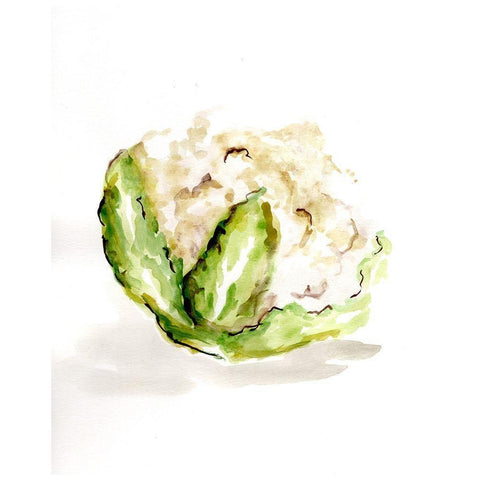 Veggie Sketch plain  VI-Cauliflower White Modern Wood Framed Art Print by Chapman, Marcy