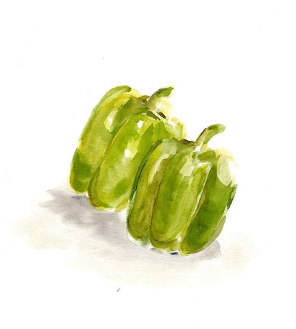 Veggie Sketch plain  VIII-Green Pepper White Modern Wood Framed Art Print with Double Matting by Chapman, Marcy