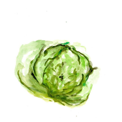 Veggie Sketch plain  IX-Lettuce White Modern Wood Framed Art Print by Chapman, Marcy