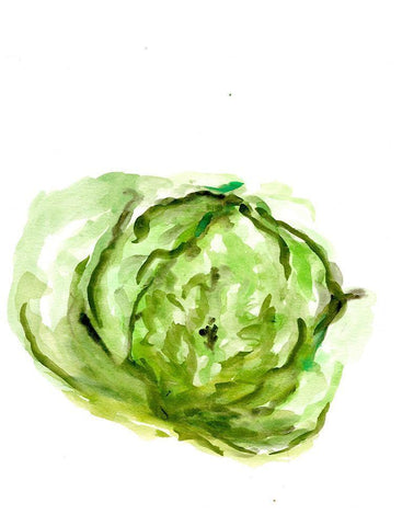 Veggie Sketch plain  IX-Lettuce White Modern Wood Framed Art Print with Double Matting by Chapman, Marcy