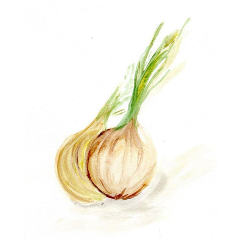 Veggie Sketch plain  X-Onion Black Modern Wood Framed Art Print with Double Matting by Chapman, Marcy