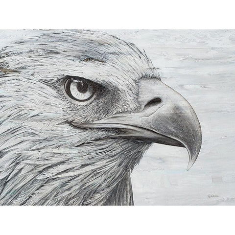 Eagle landscape White Modern Wood Framed Art Print by Cusson, Marie Elaine