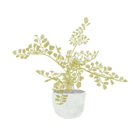 Potted Fern III White Modern Wood Framed Art Print by Bannarot