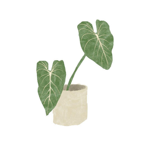 Philodendron Gloriosum I White Modern Wood Framed Art Print by Bannarot