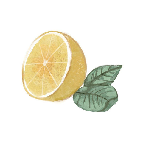 Citrus Limon IV Gold Ornate Wood Framed Art Print with Double Matting by Bannarot