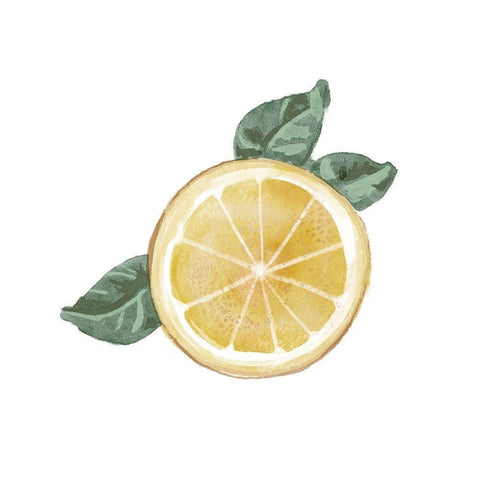 Citrus Limon V White Modern Wood Framed Art Print by Bannarot