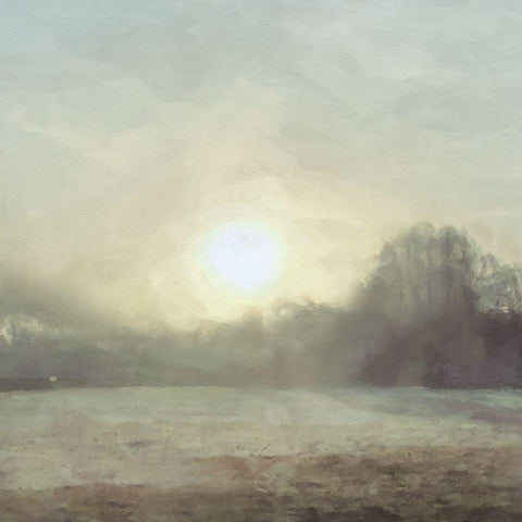 Sun  through Mist Black Modern Wood Framed Art Print with Double Matting by Bay, Noah