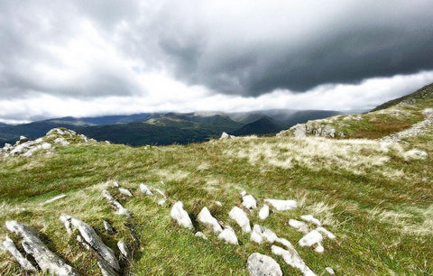 Mountain  Majesty Black Ornate Wood Framed Art Print with Double Matting by Bay, Noah