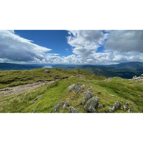 Highland  Path panel White Modern Wood Framed Art Print by Bay, Noah