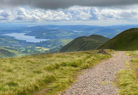Green  Overlook White Modern Wood Framed Art Print with Double Matting by Bay, Noah