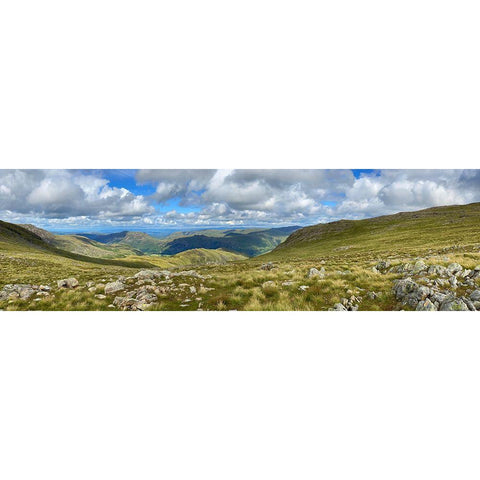 Greenscape Gold Ornate Wood Framed Art Print with Double Matting by Bay, Noah