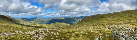 Greenscape Black Ornate Wood Framed Art Print with Double Matting by Bay, Noah