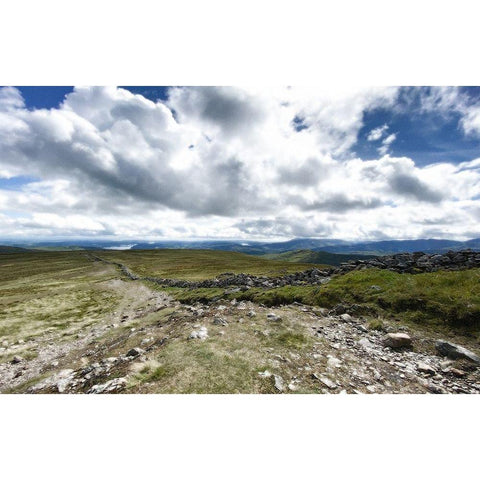 Looking  Out Black Modern Wood Framed Art Print with Double Matting by Bay, Noah