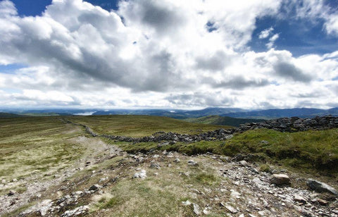 Looking  Out Black Ornate Wood Framed Art Print with Double Matting by Bay, Noah