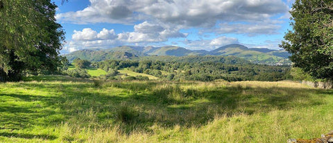 Fresh  Perspective White Modern Wood Framed Art Print with Double Matting by Bay, Noah