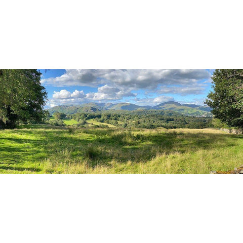 Fresh  Perspective Black Modern Wood Framed Art Print by Bay, Noah