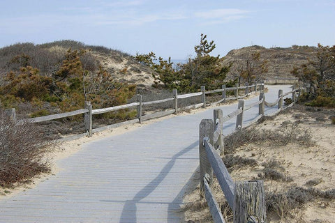 High  Road III Black Ornate Wood Framed Art Print with Double Matting by Grafitee Studios