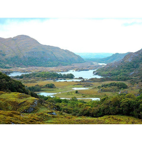 Ladies  View Black Modern Wood Framed Art Print by Grafitee Studios