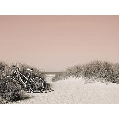 Ride  Paused Gold Ornate Wood Framed Art Print with Double Matting by Grafitee Studios