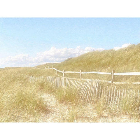 Seagrass  Dunes White Modern Wood Framed Art Print by Grafitee Studios