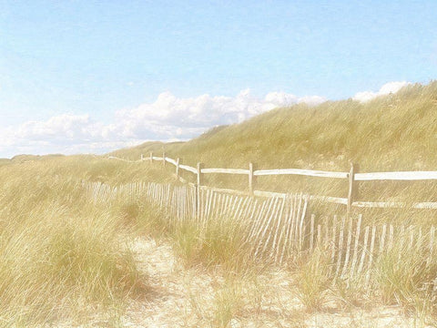 Seagrass  Dunes Black Ornate Wood Framed Art Print with Double Matting by Grafitee Studios