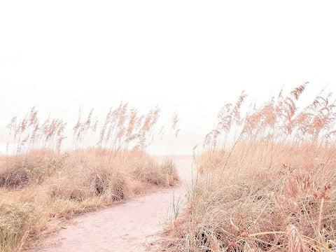 Walk  through the Grasses Black Ornate Wood Framed Art Print with Double Matting by Grafitee Studios