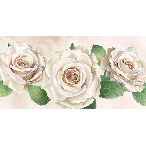 Ivory  Roses landscape I Black Modern Wood Framed Art Print with Double Matting by Wilson, Kelsey