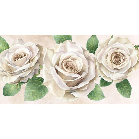 Ivory  Roses landscape II White Modern Wood Framed Art Print by Wilson, Kelsey