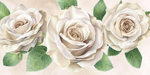 Ivory  Roses landscape II White Modern Wood Framed Art Print with Double Matting by Wilson, Kelsey