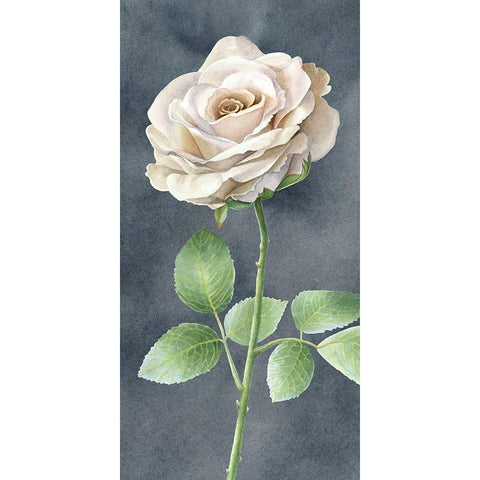 Ivory  Roses on gray panel I White Modern Wood Framed Art Print by Wilson, Kelsey