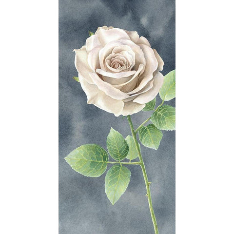 Ivory  Roses on gray panel II White Modern Wood Framed Art Print by Wilson, Kelsey