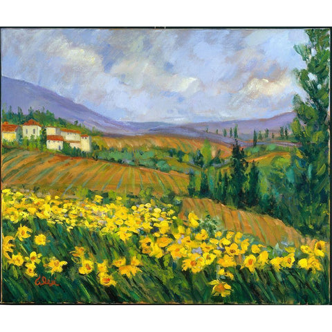 Field of Yellow White Modern Wood Framed Art Print by Fine, Alexi