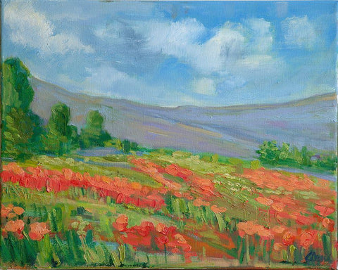 Field of Living Coral White Modern Wood Framed Art Print with Double Matting by Fine, Alexi