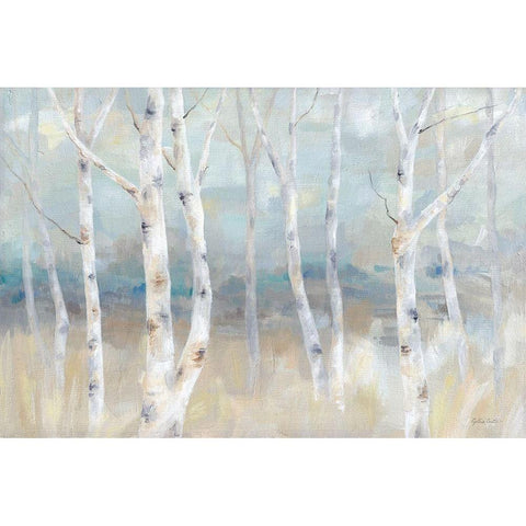 Birch  Field landscape White Modern Wood Framed Art Print by Coulter, Cynthia