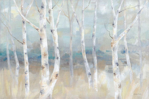 Birch  Field landscape White Modern Wood Framed Art Print with Double Matting by Coulter, Cynthia