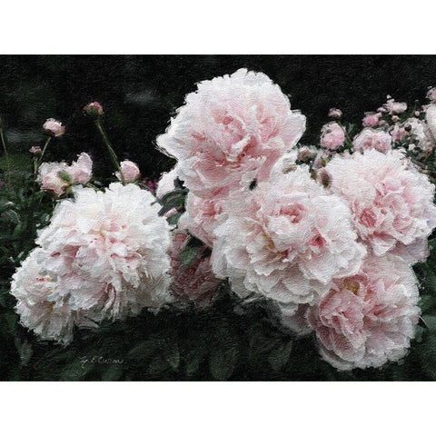 Peony  Poetry I Gold Ornate Wood Framed Art Print with Double Matting by Cusson, Marie Elaine