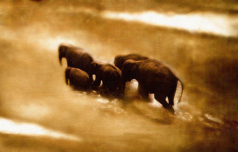 The  Crossing Black Ornate Wood Framed Art Print with Double Matting by Bay, Noah