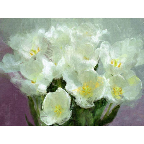 Sunlit  Tulips Black Modern Wood Framed Art Print with Double Matting by Bay, Noah