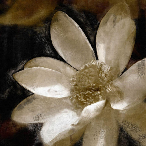Bronze  Lily White Modern Wood Framed Art Print with Double Matting by Bay, Noah