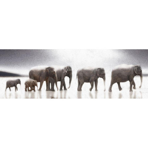Elephant  Mirage Black Modern Wood Framed Art Print by Bay, Noah