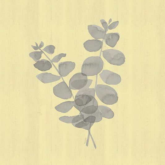 Image Only