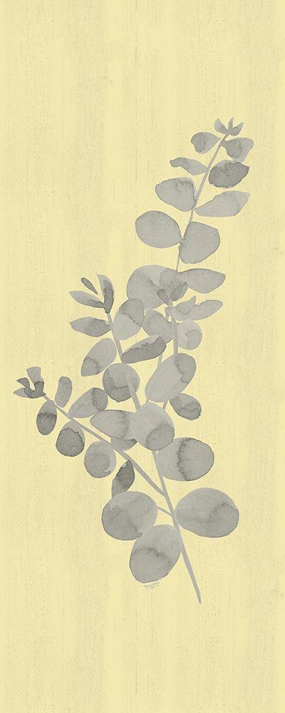 Image Only