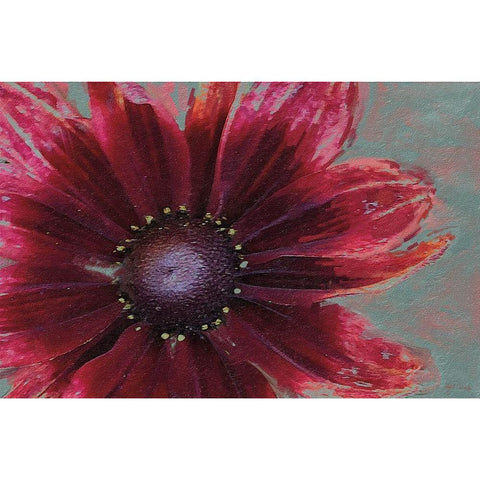 Garden Dream I Black Modern Wood Framed Art Print with Double Matting by Cusson, Marie Elaine