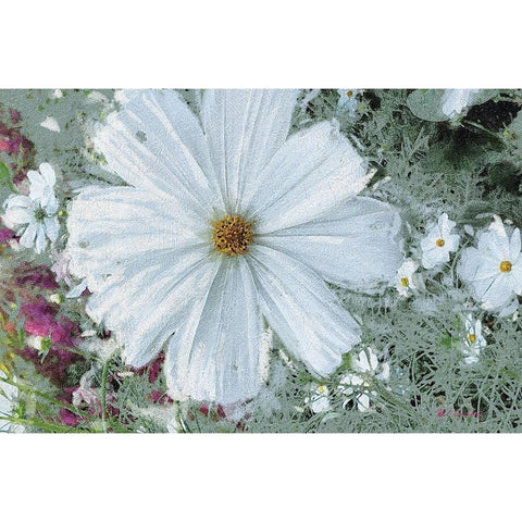 Garden Dream III Black Modern Wood Framed Art Print with Double Matting by Cusson, Marie Elaine