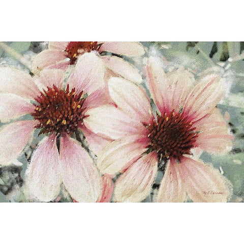 Garden Dream IV Black Modern Wood Framed Art Print with Double Matting by Cusson, Marie Elaine